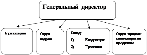  организационная структура предприятия 1