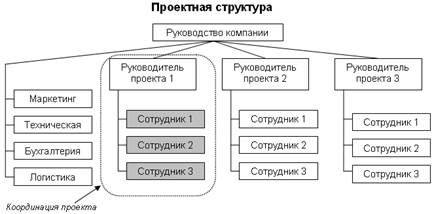 Проектная структура управления 1