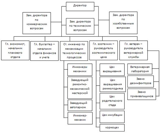  организационная структура управления птицефабрики и ее вид 1