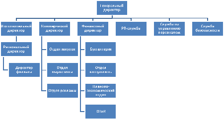  краткая характеристика и организационная структура ооо новэкс  1