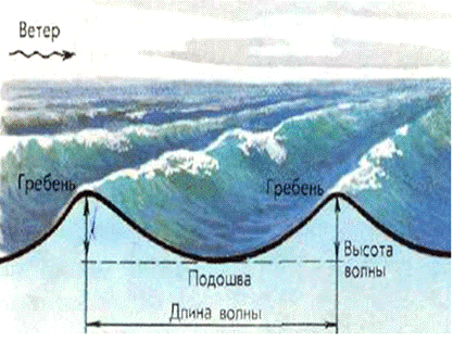 Геологическая деятельность морей и океанов 3
