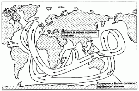 Геологическая деятельность морей и океанов 7