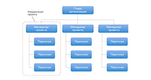  проектная организационная структура 1