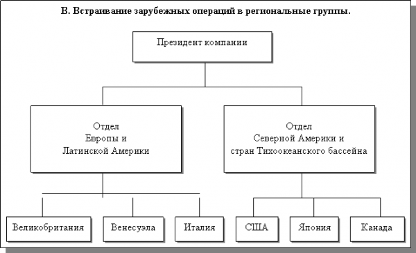 Функциональная организационная структура  1