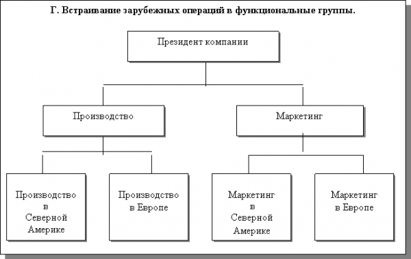 Функциональная организационная структура  2