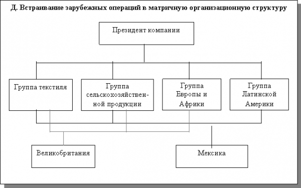 Функциональная организационная структура  3